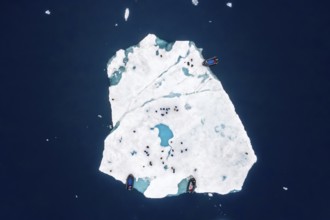 Aerial view over ecotourists from Iceland Pro Cruises walking on ice floe drifting in the Arctic