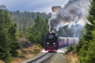 1950s steam train 997243 Neubaulokomotive / Neubaulok riding the Brocken Narrow Gauge railway line
