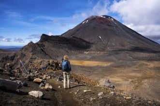 A hiker on the Tongariro Alpine Crossing trail. View of Mt Ngauruhoe. Tongariro National Park.