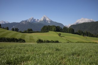 Idyll on Watzmann with summery sky and meadow. Berchtesgaden, Germany