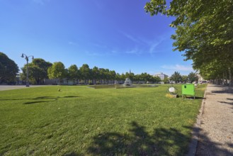 Green area, garden, trees, Platanus × acerifolia (Platanus ×hispanica), lawn, bowling green,