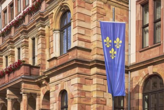 Flag of the city of Wiesbaden, town hall, façade, sandstone building material, architect Georg von