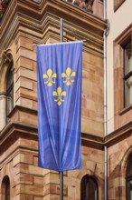 Flag of the city of Wiesbaden, town hall, façade, sandstone building material, architect Georg von