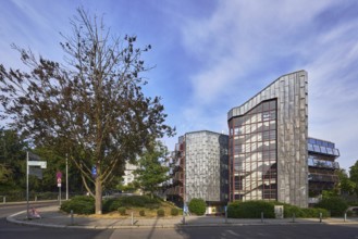 Theatre car park, modern architecture, sidewalk, barrier bollards, trees, bushes, lawn, blue sky,