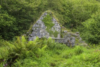 St Colman's Chapel, Burren, Keelhilla, Carran, Co. Clare, Ireland