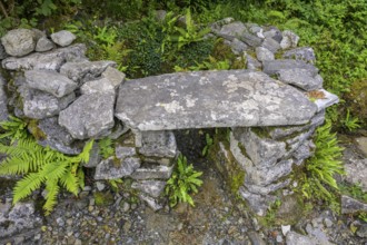 Sacred spring at St Colman's Chapel, Burren, Keelhilla, Carran, County Clare, Ireland