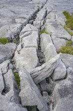 Karst landscape of the Burren, Keelhilla, Carran, County Clare, Ireland