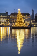 The decorated and illuminated Alster fir tree on the Inner Alster with reflections on the water in