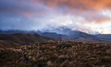 Volcanic landscape, Tama Lake Walk (Tama Lakes Track), Mt Ruapehu in clouds, evening light, sunset.
