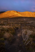 Volcanic landscape, Tama Lake Walk (Tama Lakes Track), evening light, sunset. Tongariro National