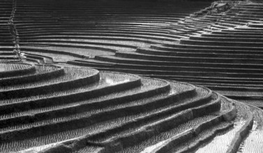 Terrace rice paddies north of Antosari, Bali, Indonesia
