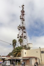 A large radio tower rises high, surrounded by palm trees and municipal buildings under slightly