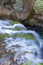 Small waterfall flows over moss-covered rocks in the midst of natural surroundings, El Kelaa wild