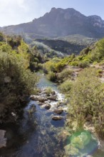 Idyllic stream flows through a green, wooded landscape with mountains, El Kelaa torrent in Morocco