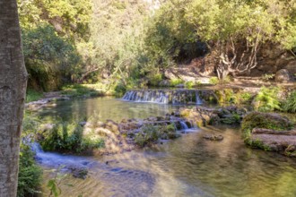 Gentle waterfall on a river surrounded by trees, playing with light and shadow, El Kelaa torrent in