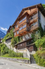 A, Hallstatt, hdr, A traditional wooden house covered with ivy, along a staircase under a blue sky,