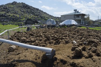 Rural area with hills, rocky soil and farm buildings under blue skies, cow dung to dry, Demirtepe,