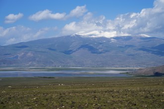 A large lake with snow-capped mountains on the horizon under blue sky, Dogubayazit swamps, wetland