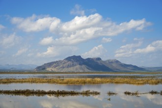 Peaceful mountain landscape with reflecting water and grassy shores under blue sky, Dogubayazit