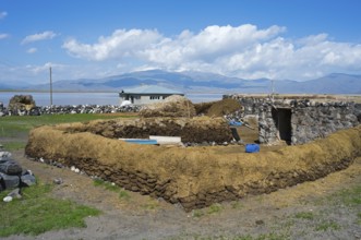 Rustic landscape with traditional clay construction and meadow under clear sky, cow dung to dry and
