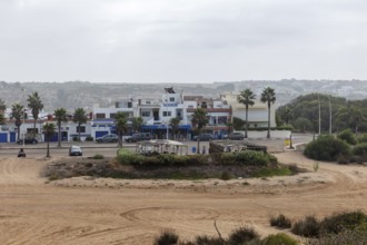 Small settlement with palm trees and cloudy sky