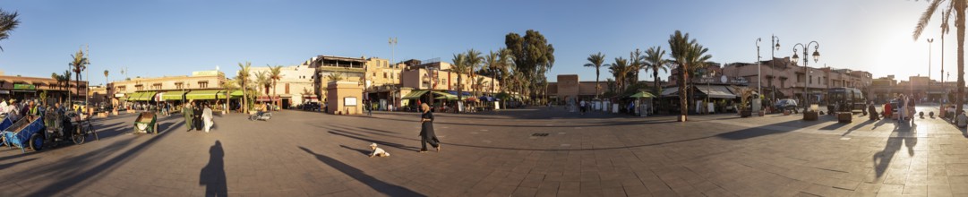 Town square with people and shops surrounded by palm trees in sunlight