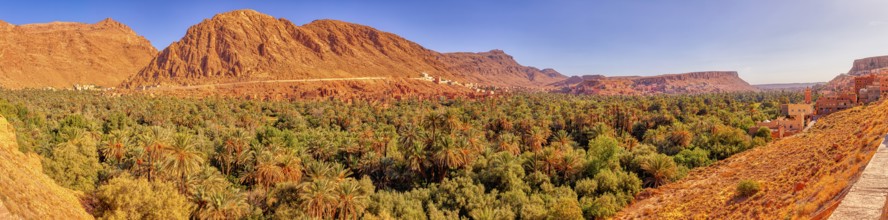 Lush palm tree landscape against ochre-colored mountains under sunny sky