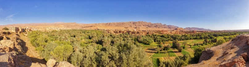 Extensive green fields and trees with mountains in the background under clear sky