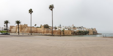View of an old fortress near the coast with palm trees and a city in the background