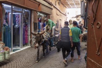 Narrow market street with a donkey loaded with goods, and people shopping