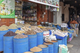Market stand with a variety of spices and dried herbs in blue barrels