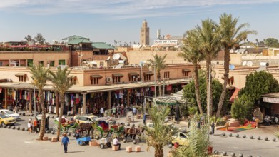 Lively market square with palm trees and traditional buildings, lots of people and shops in sunny