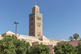 Side view of the Koutoubia Mosque with its impressive tower and palm trees