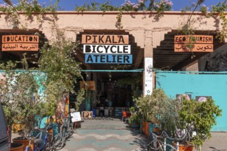A lively studio in Marrakech, surrounded by plants and signs, that promotes cycling education and