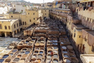Historic tannery with numerous leather-filled basins in a traditional setting