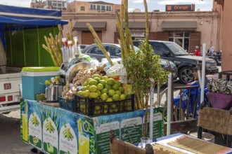 Lively street stand with fresh fruit and sugar cane for juices at a busy market