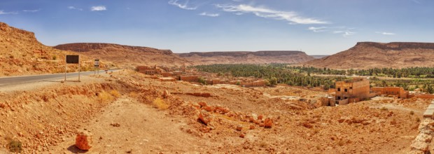 Desert landscape with road, trees and mountains under a blue sky