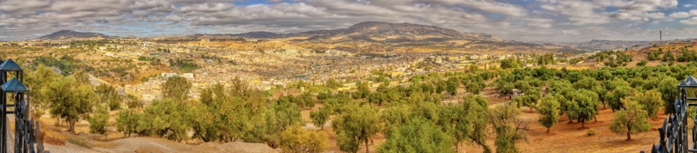 Wide mountain landscape with olive groves under a vast sky