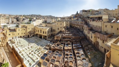 Extensive view of a historic city tannery showing the architectural layout and craft structure