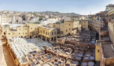Traditional tannery in Fez under clear skies with numerous leather troughs