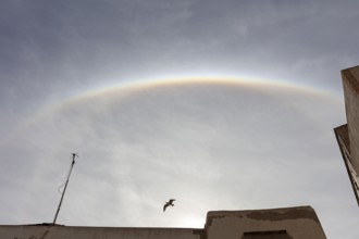 Halo over a building with bird and bright clouds