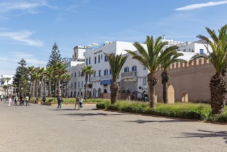 White buildings and palm trees stand along a city wall under a blue sky