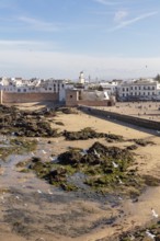 View of the coastline with city walls, sand and flying seagulls in clear skies