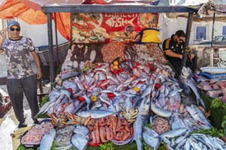 Street market with a variety of fresh seafood