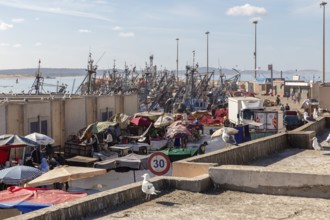 A lively harbor market with fishing boats and market stalls