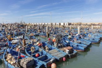 Lively fishing port with lots of blue boats, the water glitters under the sun