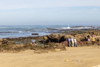 People relax on the rocky coast under clear skies