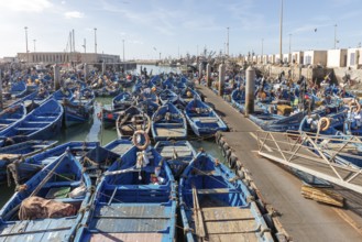 Bustling fishing port with numerous blue boats, people at work and seagulls in the air