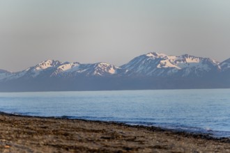 Anchor Point beach on Cook Inlet in the evening light, snowy mountain peaks of the Kenai Peninsula,