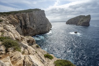 Steep cliffs by the sea and the rocky island of Isola Foradada, Belvedere Foradada, cliffs on the